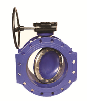 CF Valve B60F-DE-GB